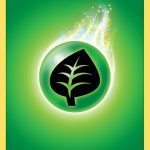 Pokemon TCG – Basic Energy – Grass 2020 – N/M