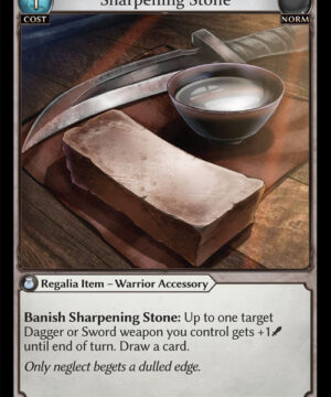 Sharpening Stone C Dawn of Ashes Alter Edition (DOA Alter) 019
