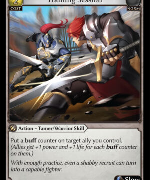 Training Session C Dawn of Ashes Alter Edition (DOA Alter) 060